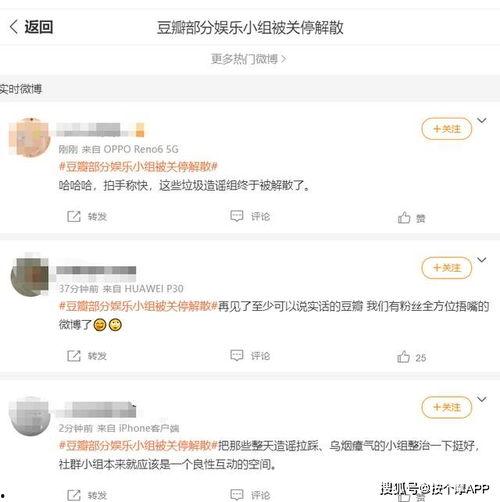 娱乐吃瓜除了豆瓣还有谁,除了豆瓣，还有哪些平台助你吃瓜不停